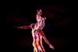 Wiener Staatsballett/Ashley Taylor