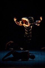 Wiener Staatsballett/Ashley Taylor