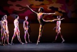 Wiener Staatsballett/Ashley Taylor